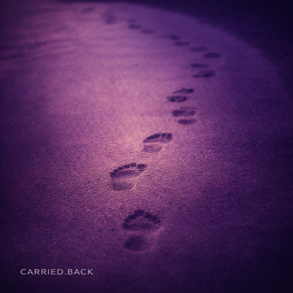 Track 4.5 — Carried.Back — Track Art